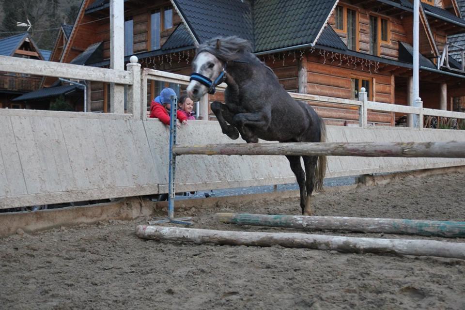 Willa Ranczo w Dolinie Kościelisko Zewnętrze zdjęcie